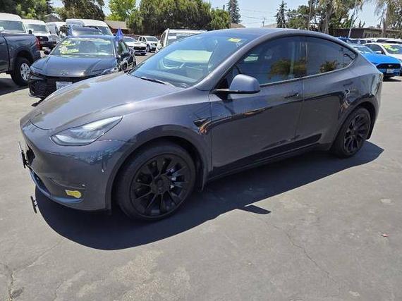 TESLA MODEL Y 2021 5YJYGDEE7MF295888 image